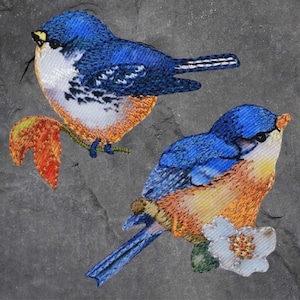 May include: Two embroidered bluebirds with orange and white accents. The birds are perched on branches with leaves and flowers.