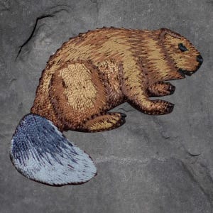 May include: A detailed illustration of a beaver, featuring brown and tan fur with a distinctive blue-grey tail. The artwork is set against a textured grey background, highlighting the animal's form and texture.
