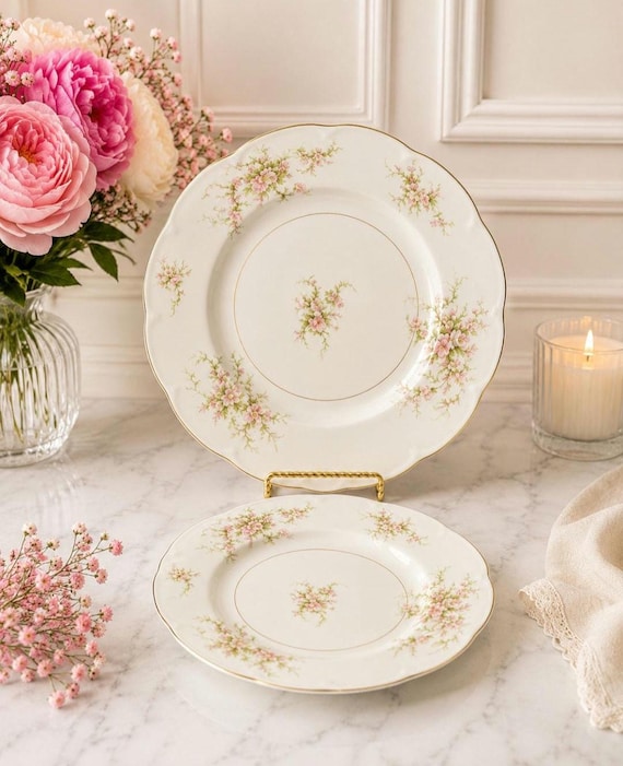 Haviland NY „Rosalinde“ Vintage Porzellan Salat- und Speiseteller-Set, 2er-Pack