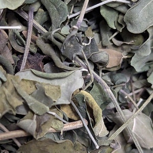 Dried Moringa Leaves - Superfood