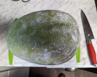 Wax Gourd (Benincasa hispida, the wax gourd, aka ash gourd)