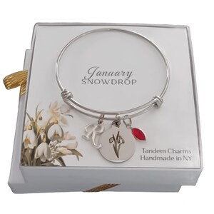 May include: A silver bangle bracelet with charms, including a charm with a snowdrop flower design, a charm with the letter R, and a red charm. The bracelet is in a white box with the text "January SNOWDROP" and "Tandem Charms Handmade in NY".