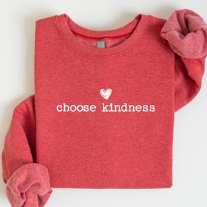 Cute Teacher Sweatshirt, Choose Kindness Sweatshirt, Be Kind Shirt, Elementary Teacher Shirt, Team Teacher Gift, Special Education Shirt