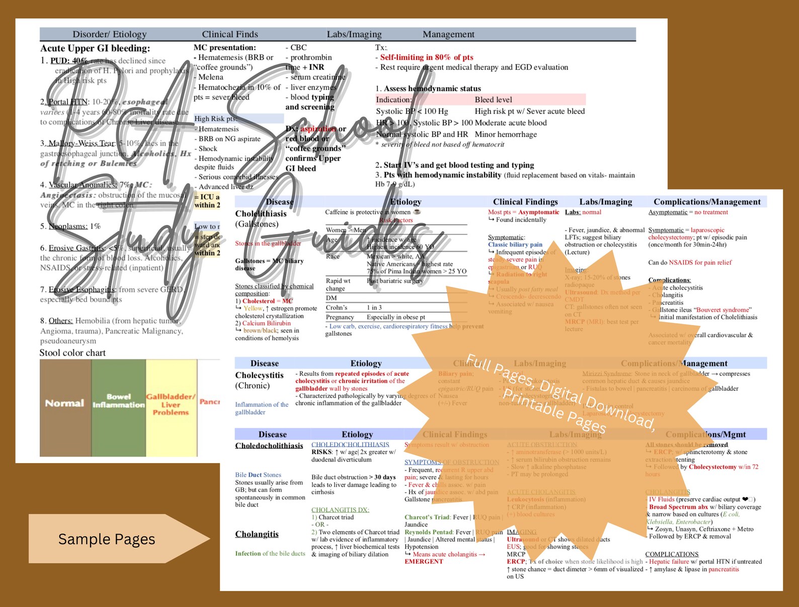 Gastroenterology Comprehensive Study Guides | Digital Download ...