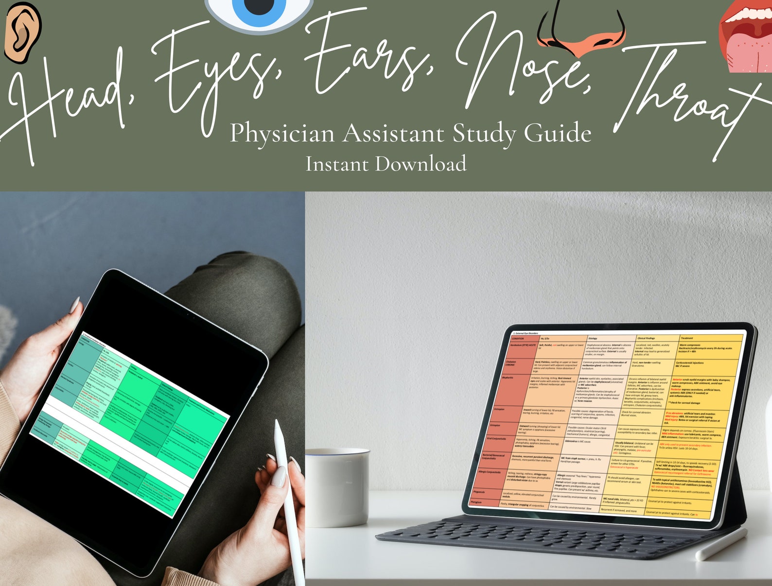 HEENT Comprehensive Study Guides | Digital Download | Physician ...