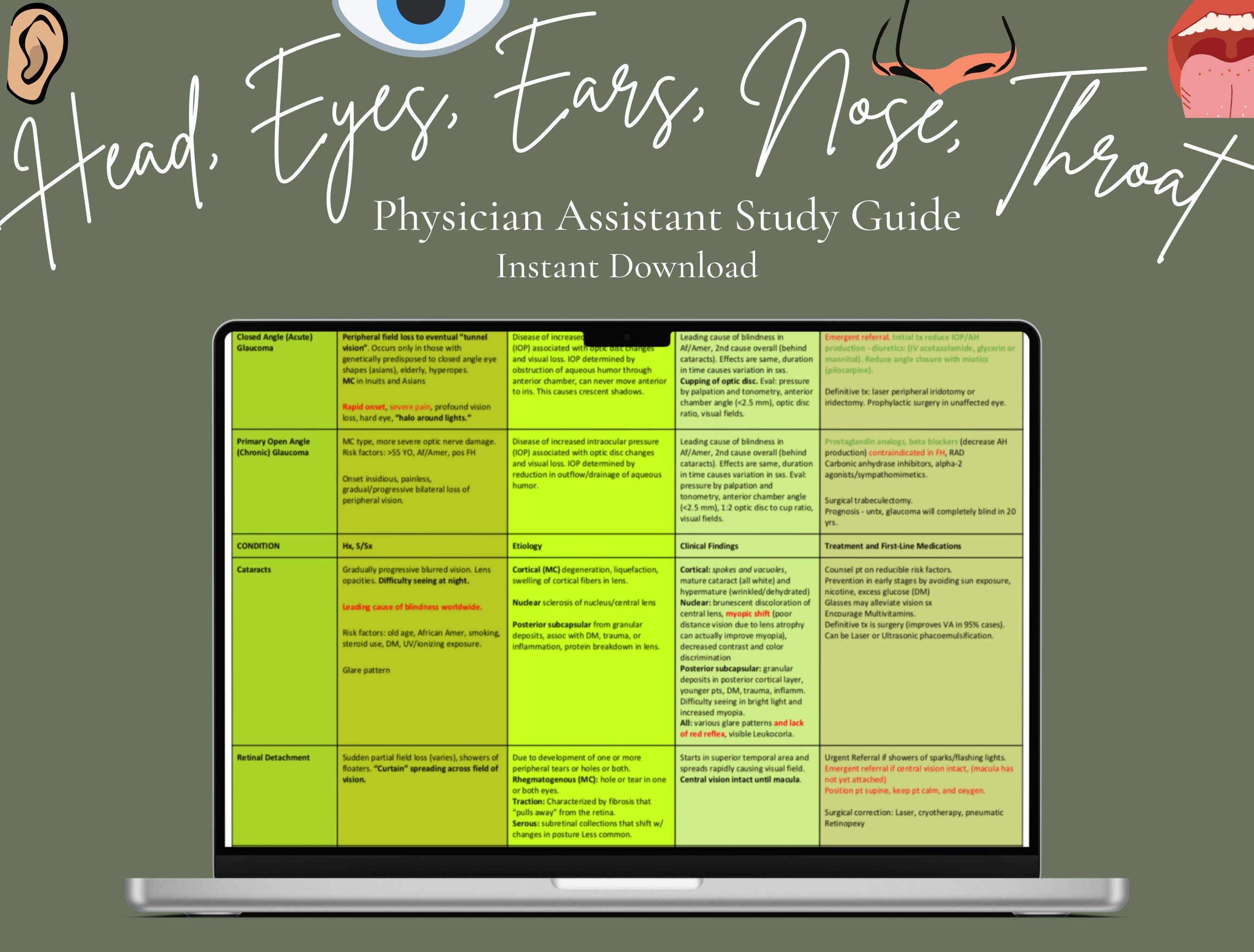 健康・医学 SOT Paipant Guide HEENT Comprehensive Study Guides | Digital Download