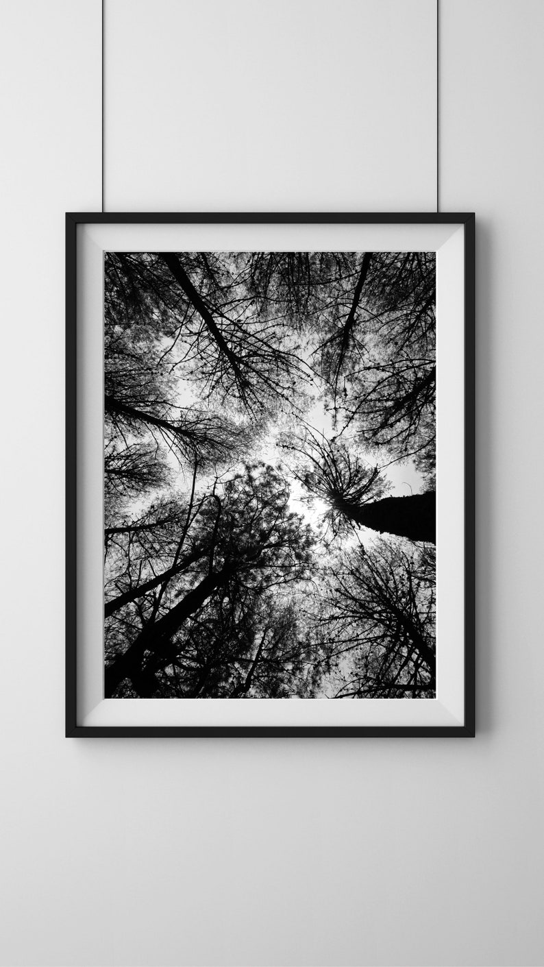 Wall Art Print Aesthetic Photography Etsy