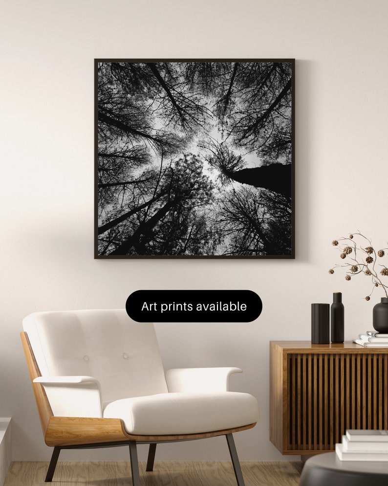 Wall Art Print Aesthetic Photography Etsy