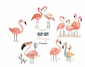 Flamingo Clipart | Pink Flamingo Patterns | Cute Summer clipart |Flamingo Graphics | Bird Clipart | Watercolor clipart | tropical animals