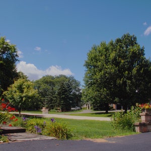 May include: A brick walkway leads to a house with a green lawn and trees in the background. The house is brick with white trim and a brown roof. There are flowers in pots on the front porch.