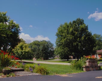 Paquete de LUT Technicolor para Black Magic Pocket Cinema 6K/6k Pro