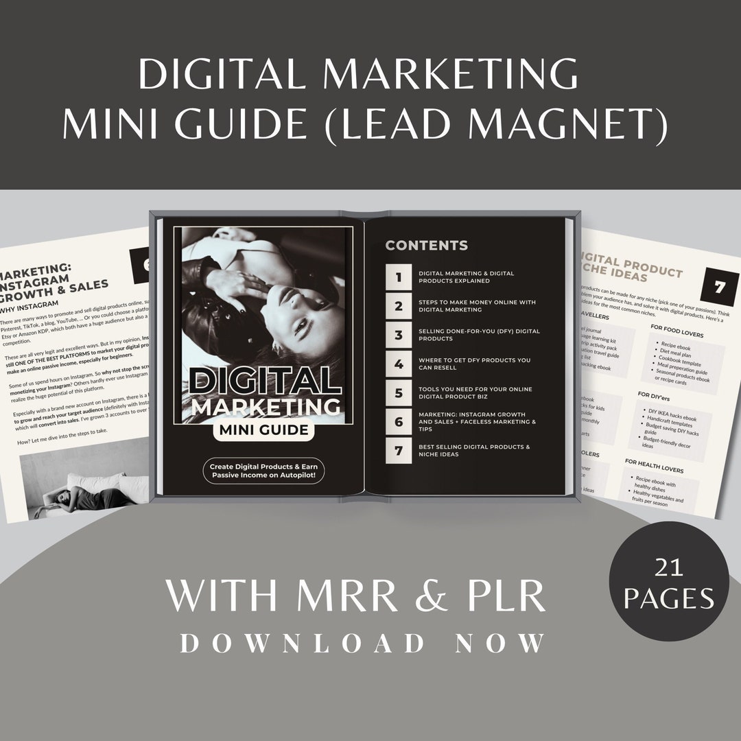 Lead Magnet Digital Marketing Beginners Passive Income Guide MRR & PLR ...