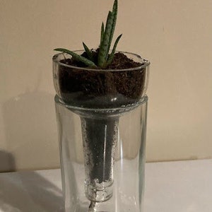 Recycled wine bottle self watering planter