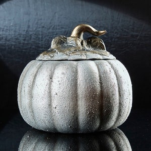 May include: A silver pumpkin-shaped container with a gold lid and stem. The container has a textured surface and is perfect for storing small items.