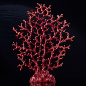 Saltwater Red Lace Coral Sculpture,  Beachy Home Aquarium and Fish Tank Decor Object