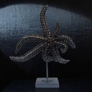 Op de afbeelding: Een donkergrijze zeestersculptuur met een getextureerd oppervlak en stekelige details, gemonteerd op een slanke metalen standaard. De sculptuur staat tegen een donkere achtergrond, wat een dramatisch contrast creëert.