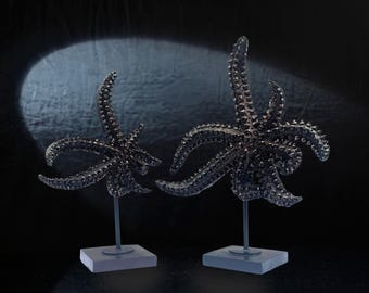 黒ヒトデ彫刻セット：海をイメージした彫像、本棚、水槽付き海星沿岸