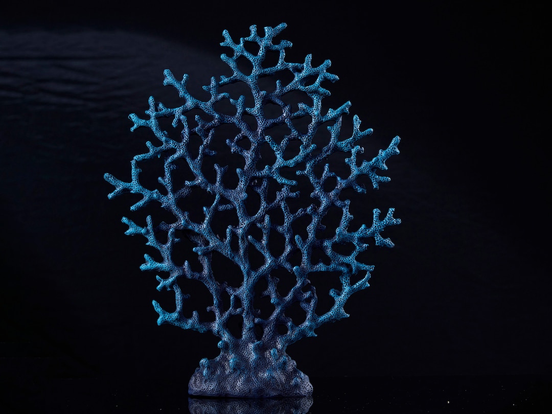 Decorative Blue Coral Sculpture Fish Tank and Aquarium Decor Etsy