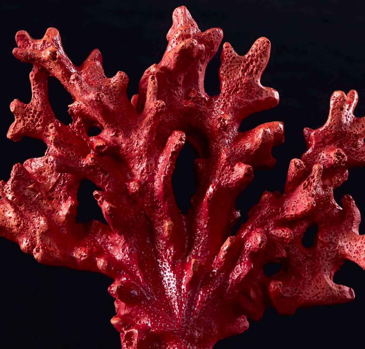 Red Artificial Coral Aquarium Decor - 7.48x2.36x9.45 Inch Resin Reef Ornament For Fish Tanks