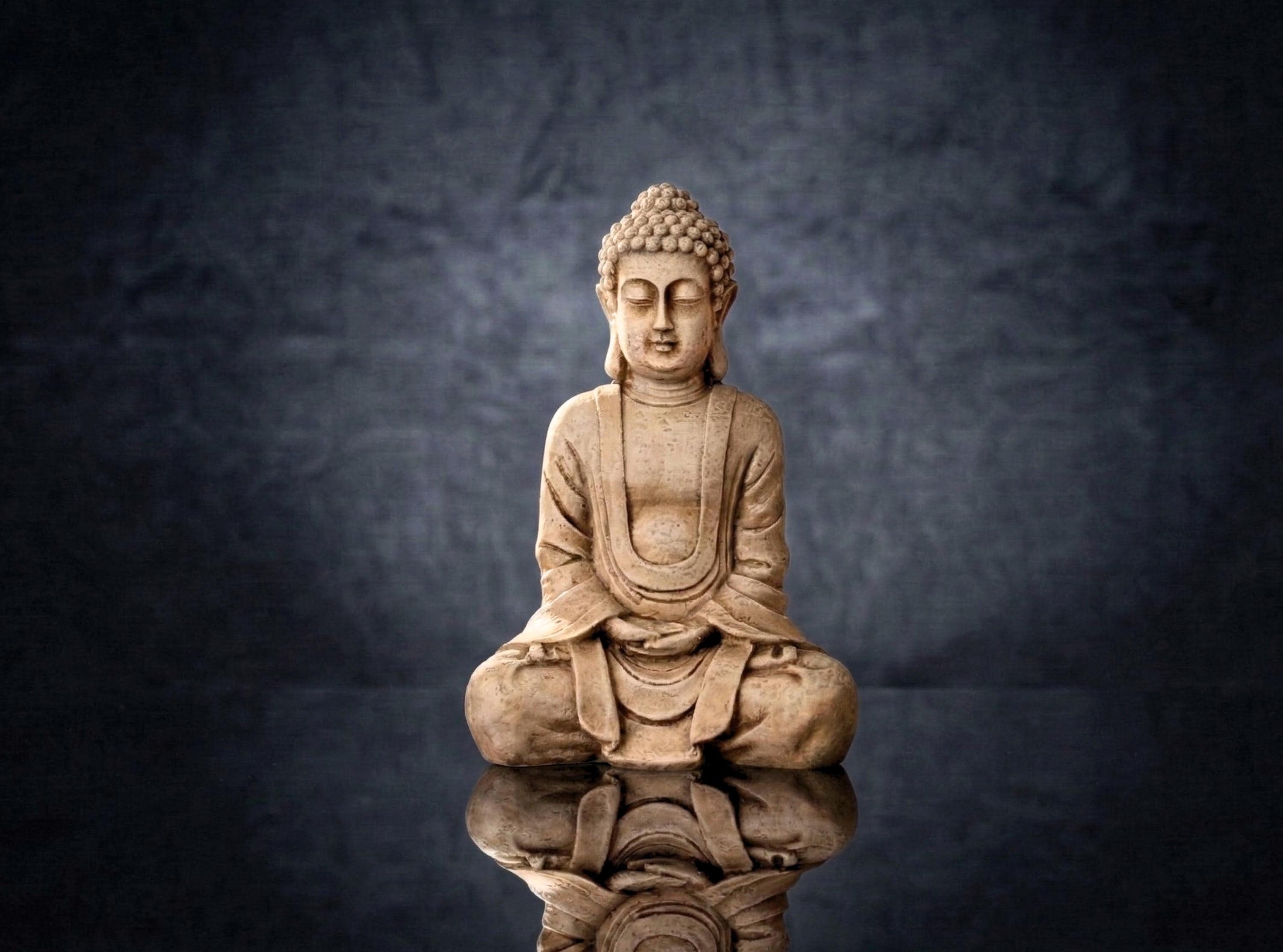 Autiga Federa Cuscino 40x40 Cm – Testa Di Buddha Mandala – Bianco – 100% Cotone