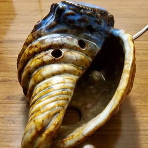 Ceramic Seashell Night Light Coastal Beach House Decor Blue Brown Glaze Luminary