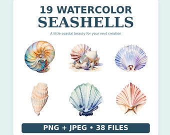 19 Watercolor Seashell Clipart Bundle – Beach Shell PNG & JPEG Digital Download