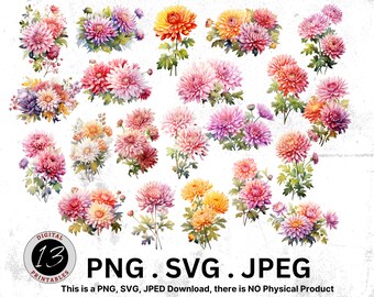 Aquarelle Chrysanthème Clipart Bundle, Chrysanthème PNG Bundle, Fleurs aquarelles, Clipart aquarelle, Aquarelle Fleurs de naissance PNG