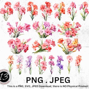 Watercolor Gladiolus Clipart Bundle, Digital Gladiolus, Gladiolus PNG, Watercolor Flowers, Gladiolus Clipart, Flower Clipart, Birth Flowers