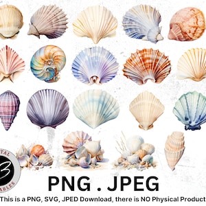 May include: A set of 13 watercolor illustrations of seashells in various shapes, sizes, and colors. The shells are arranged in a random pattern on a white background. The text "PNG.JPEG" is written in black at the bottom of the image.