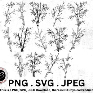 Bamboo Clipart Bundle SVG, Bamboo PNG, SVG Bundle, Bamboo Clipart, Bamboo Cut Files, Landscape Bamboo, Bamboo Bundle png, Digital Clipart
