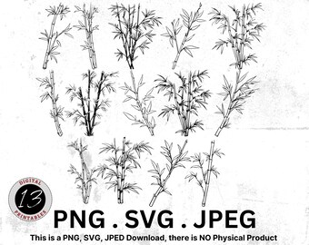 Paquete de imágenes prediseñadas de bambú SVG, PNG de bambú, paquete SVG, imágenes prediseñadas de bambú, archivos cortados de bambú, bambú de paisaje, paquete de bambú png, imágenes prediseñadas digitales