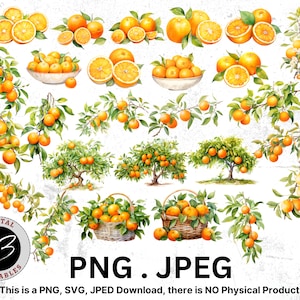 Watercolor Orange Clipart, Fruit Clipart, Sublimation Design, Watercolor Fruit, Digital Oranges, Digital Download, Orange Twigs, Orange Tree