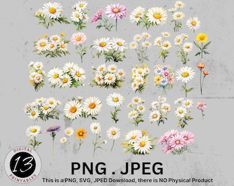 Watercolor Daisy Clipart Bundle, Flower Bundle, Daisy PNG, Daisy Clipart PNG, Watercolor Flowers, Watercolor Floral, Flower PNG, Floral png