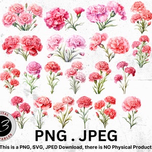 Watercolor Carnation Clipart Bundle, Carnation PNG, Flower Bundle, Carnation Bundle, Flower Scrapbooking, Watercolor Clipart, Flower Clipart