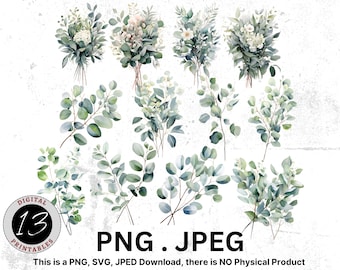 Acuarela Eucalyptus Clipart, Greenery Clipart, Plantas digitales, Descarga digital, Ilustración floral, Eucalyptus PNG, Diseño de sublimación