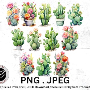 Aquarelle Cactus Clipart, Cactus numérique, Téléchargement instantané, Téléchargement numérique, Clipart de plantes du désert, Cactus PNG, Clipart aquarelle, Cactus