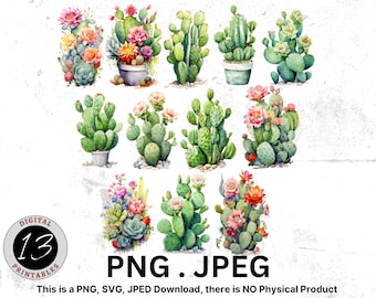 Imágenes Prediseñadas de cactus de acuarela, cactus digital, descarga instantánea, descarga digital, imágenes prediseñadas de plantas del desierto, PNG de cactus, imágenes prediseñadas de acuarela, cactus