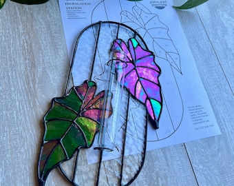 Alocasia Stained Glass Propagation Station Pattern (Digital Download)