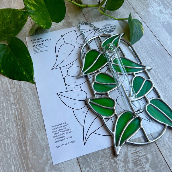 Pothos Stained Glass Propagation Station Pattern • Video Tutorial • Stained Glass Propagation Station • Pothos Cricut Stained Glass Pattern