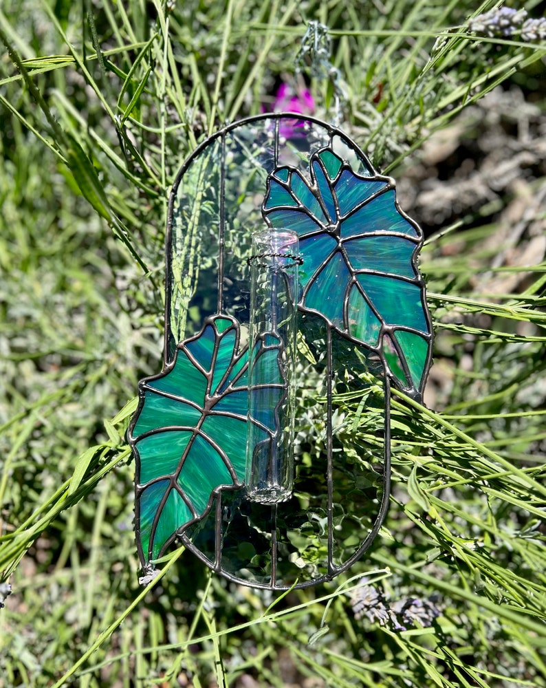 Alocasia Stained Glass Propagation Station Pattern Stained Etsy