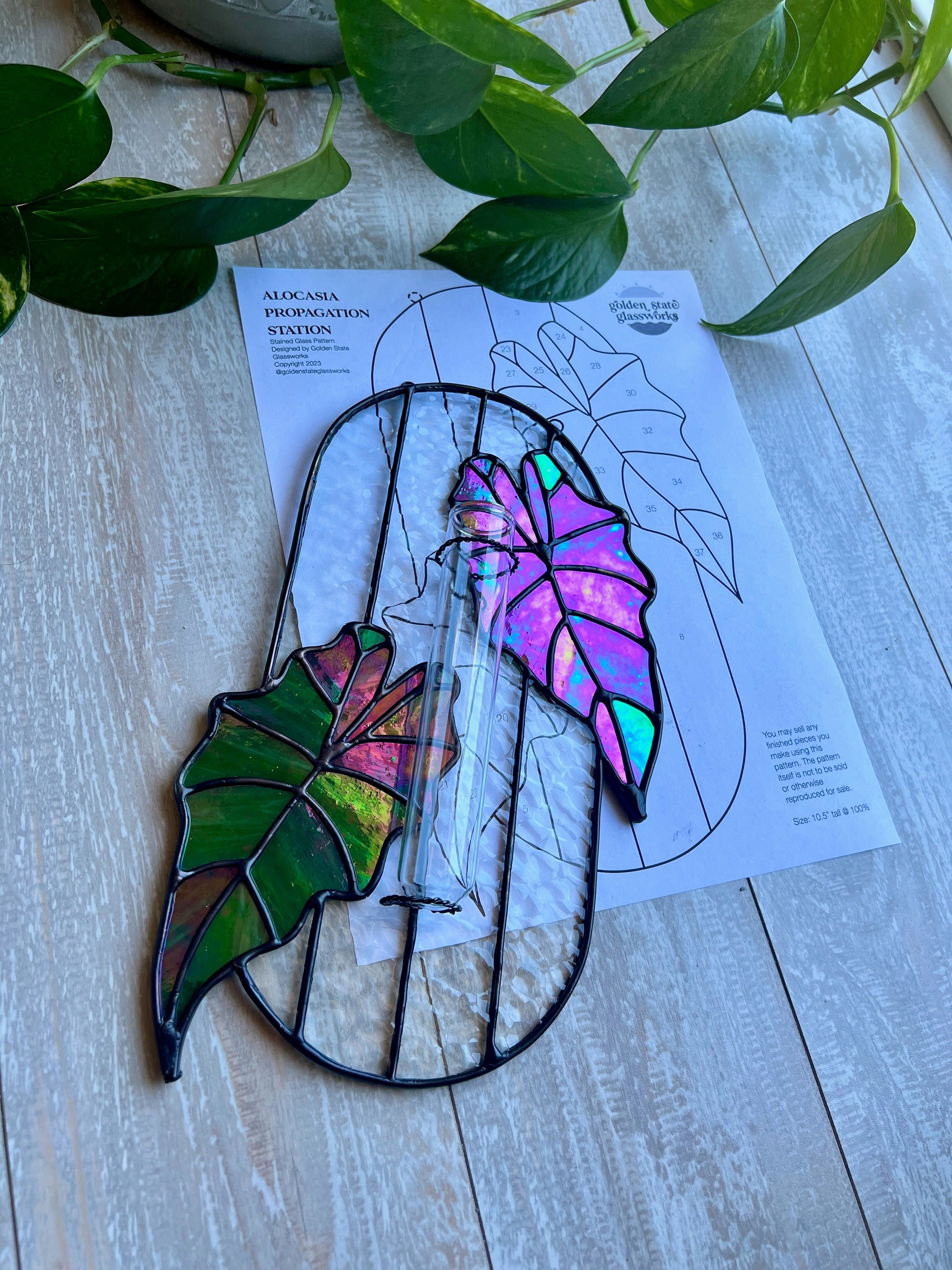 Alocasia Stained Glass Propagation Station Pattern (digital