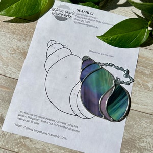 Seashell Stained Glass Pattern • Stained Glass Patterns • Stained Glass ...