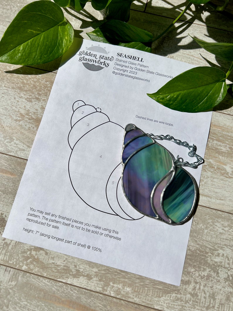Seashell Stained Glass Pattern Stained Glass Patterns - Etsy