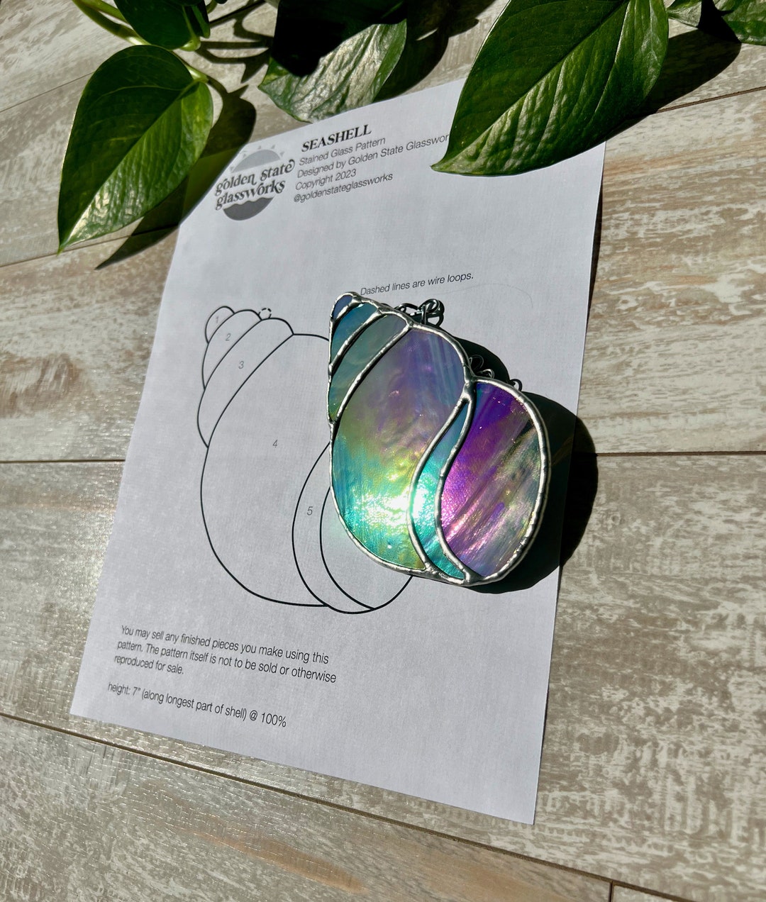 Seashell Stained Glass Pattern • Stained Glass Patterns • Stained Glass ...