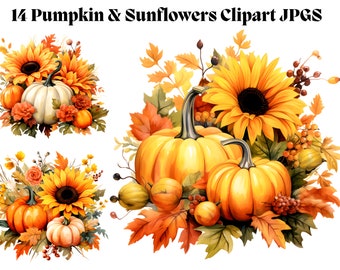 May include: Watercolor clipart featuring pumpkins and sunflowers in shades of orange, yellow, and white. The image includes arrangements of pumpkins, sunflowers, and fall foliage. Text at the top reads "14 Pumpkin & Sunflowers Clipart JPGs."