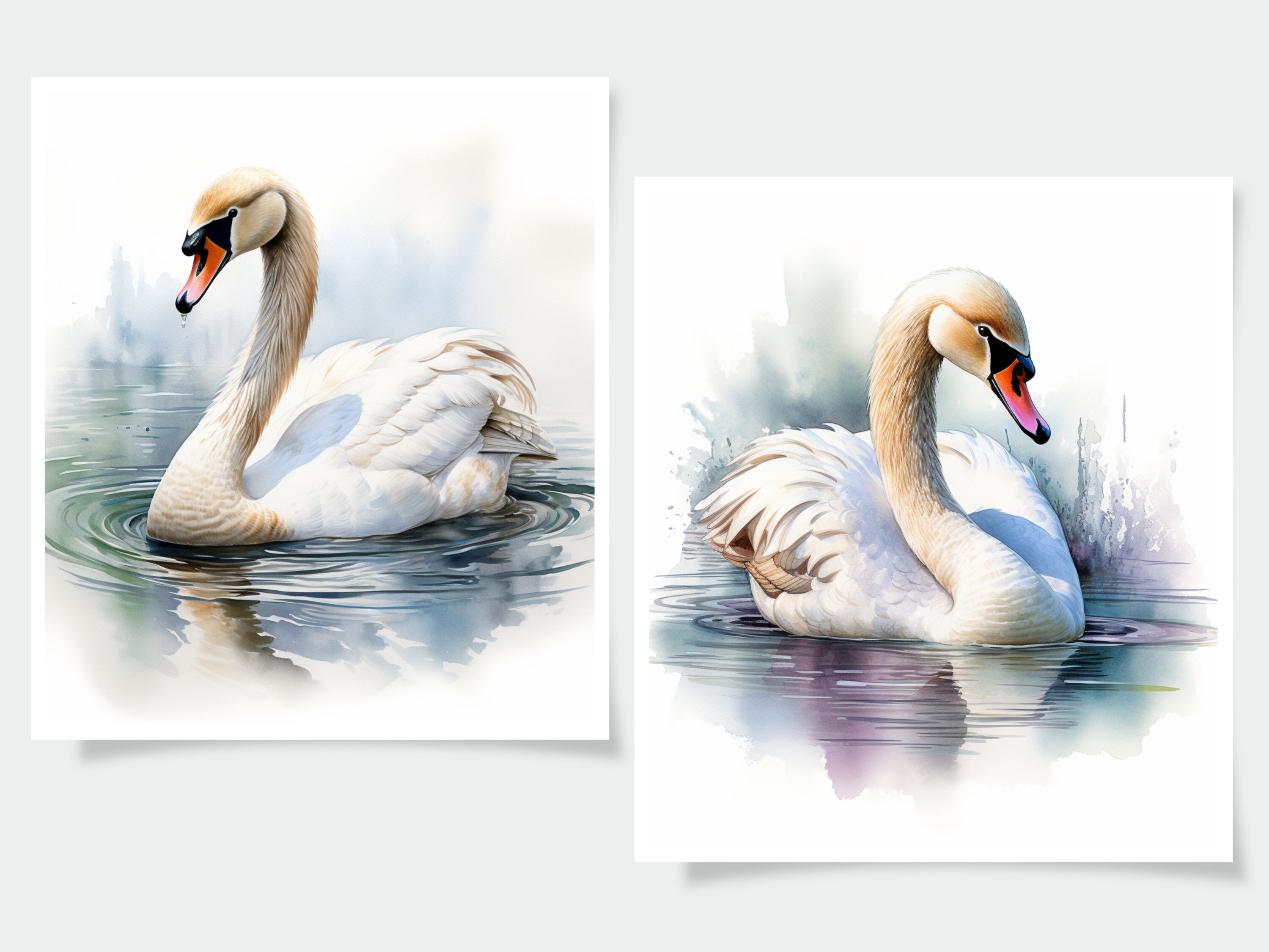 Watercolor Swan Clipart - 18 High Quality Jpgs - Journal Book ...