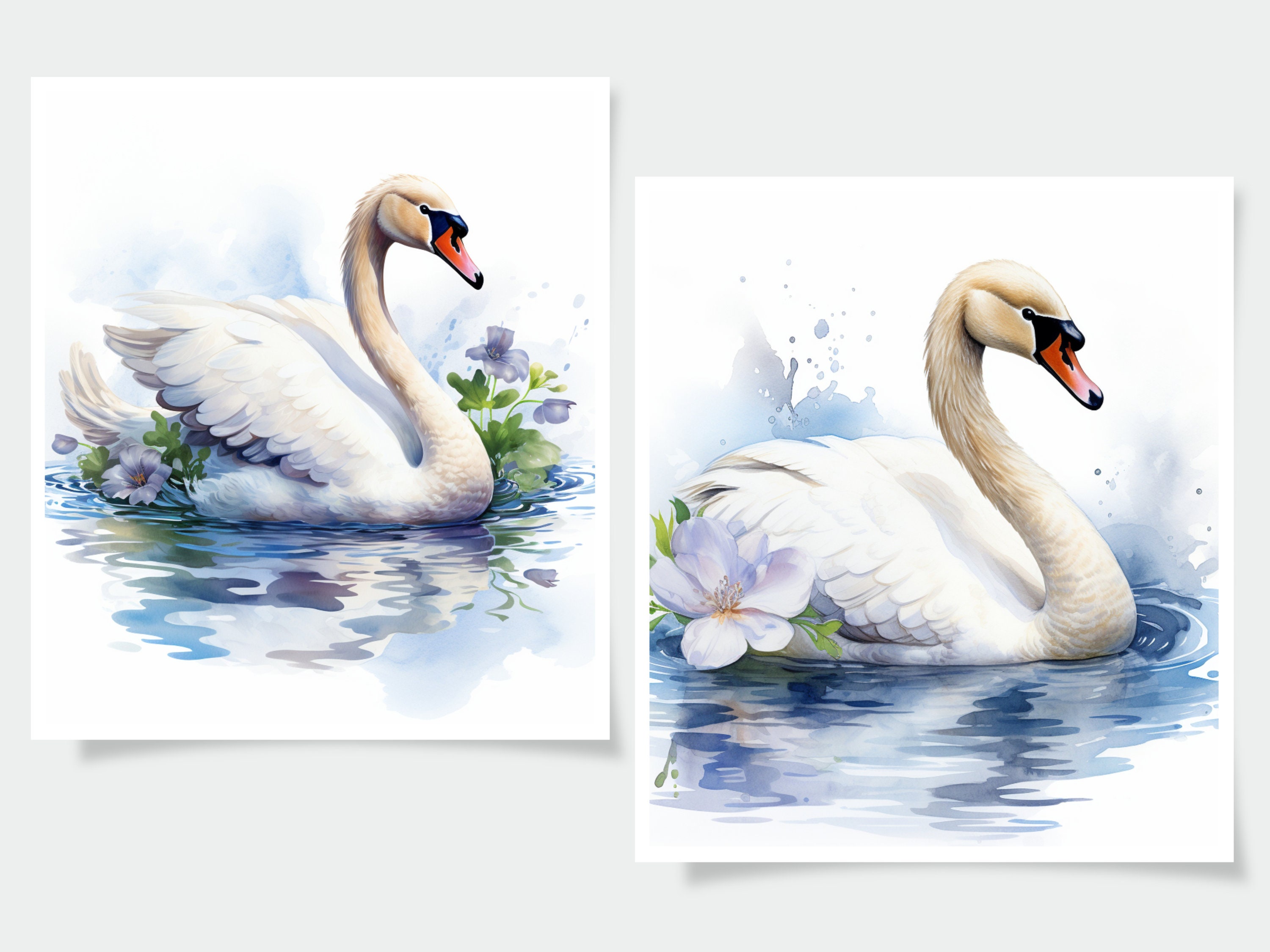 Watercolor Swan Clipart - 18 High Quality Jpgs - Journal Book ...