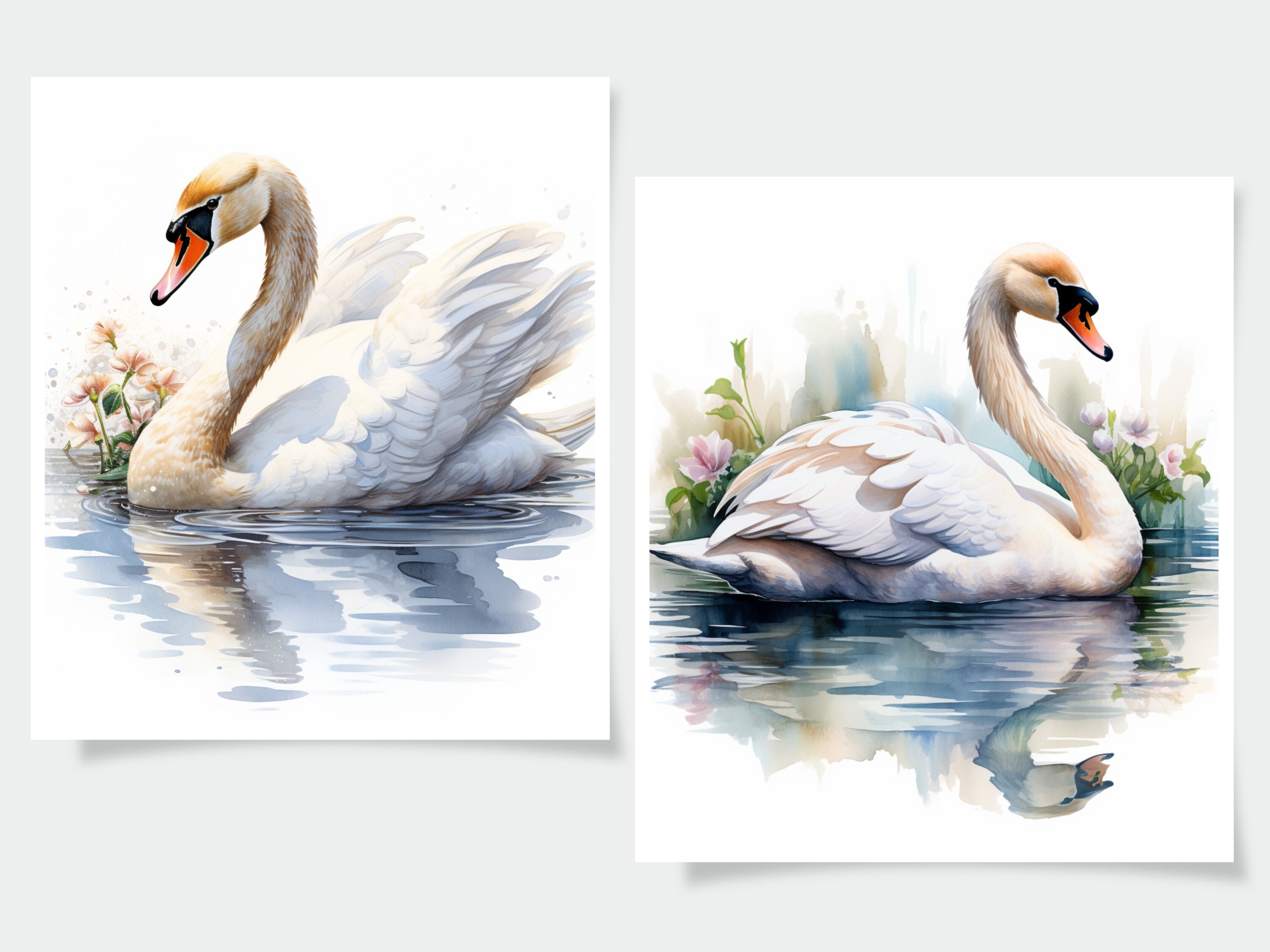 Watercolor Swan Clipart - 18 High Quality Jpgs - Journal Book ...