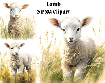 Lamb Clipart PNG Cute Baby Wool Sheep in a Grass Field Adorable Animal Aesthetics Nature Decor Wall Art Print Image Digital Graphic Download