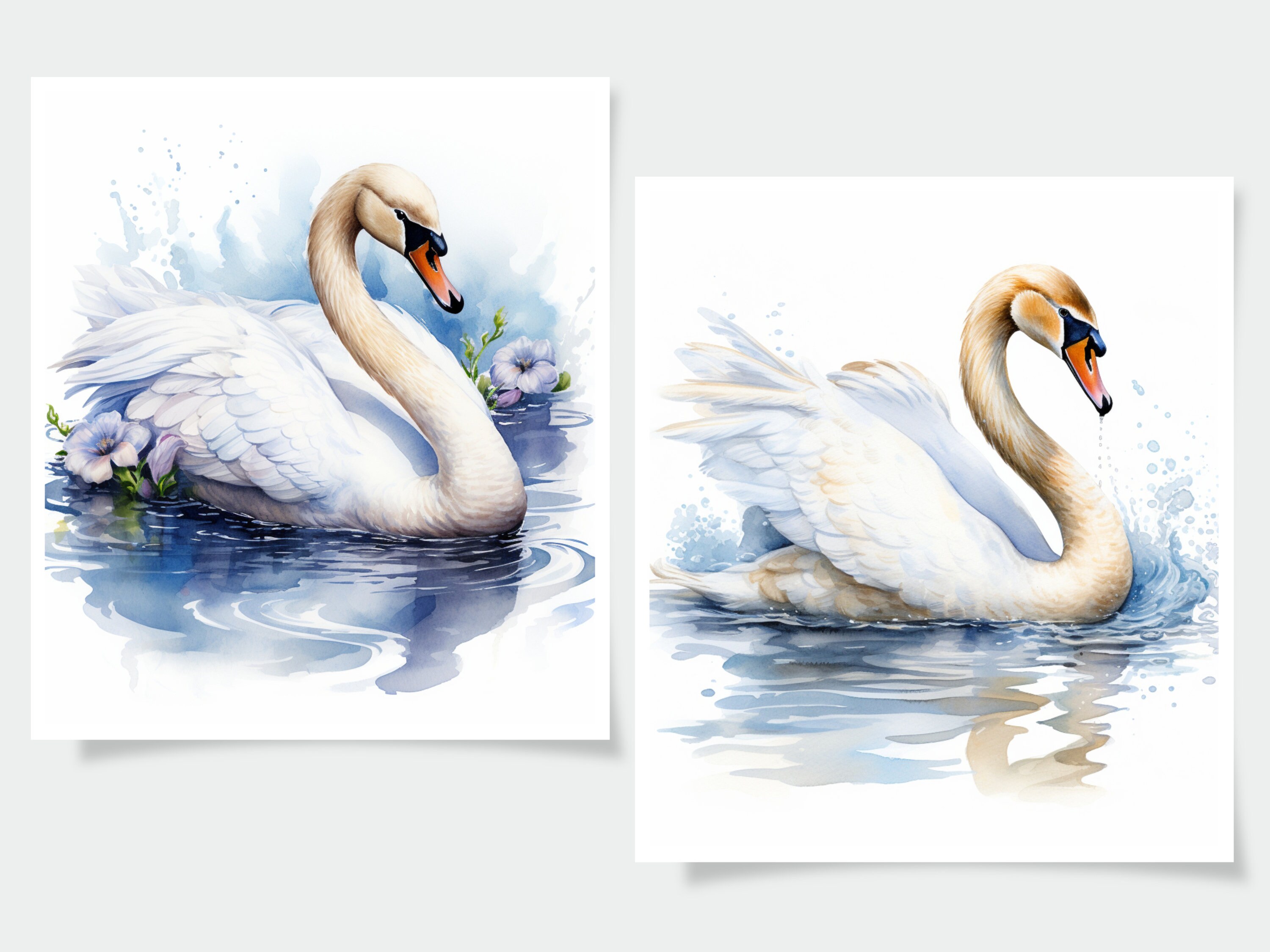 Watercolor Swan Clipart - 18 High Quality Jpgs - Journal Book ...